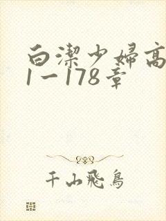 白洁少妇高义第1一178章