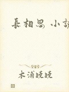 长相思 小说封面