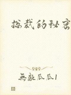 总裁的秘密情人