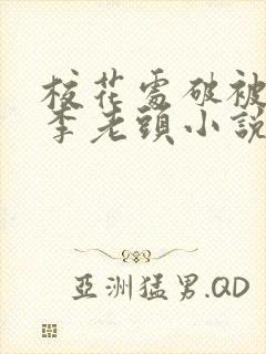 校花处破被灌满李老头小说