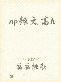 np辣文高h