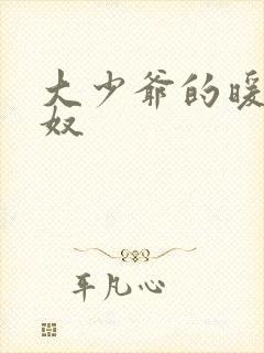 大少爷的暖床小奴