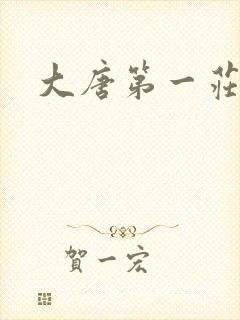 大唐第一庄封面