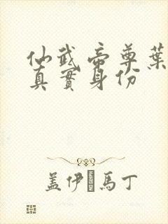 仙武帝尊叶辰的真实身份