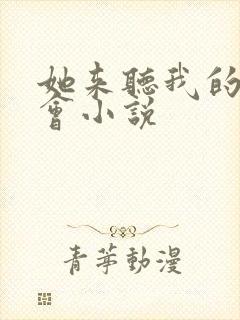 她来听我的演唱会小说