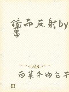 镜面反射by九葛