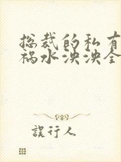 总裁的私有宝贝祸水泱泱全文阅读