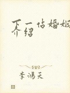 下一站婚姻剧情介绍