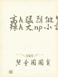 高h猛烈做哭高辣h文np小说