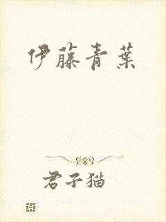 伊藤青叶封面