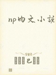 np肉文小说