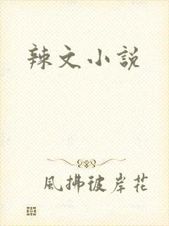 辣文小说