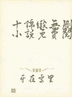 十锦缎无删原著小说免费阅读