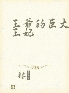 王爷的巨大进入王妃