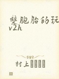 双胞胎的玩具1v2h