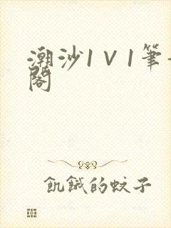 潮沙1∨1笔趣阁