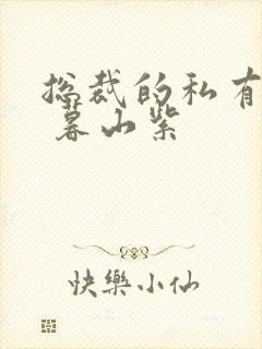 总裁的私有宝贝 暮山紫