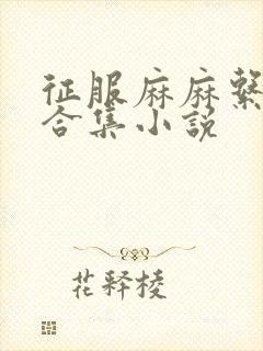 征服麻麻系列大合集小说