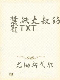 禁欲大叔的心尖宠TXT