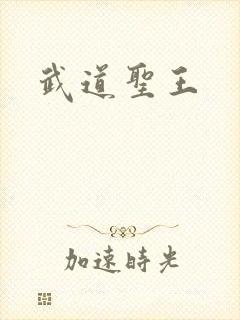 武道圣王