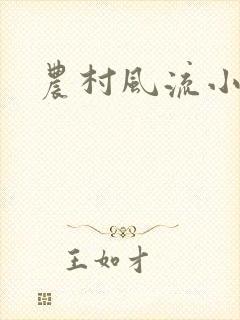 农村风流小说封面