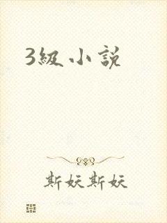 3级小说