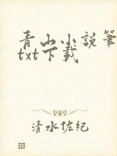 青山小说笔趣阁txt下载