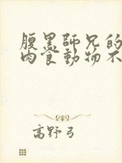 腹黑师兄的日常肉食动物不食草