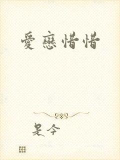 爱恋惜惜封面