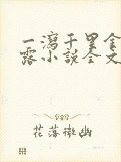 一泻千里金银花露小说全文免费阅读