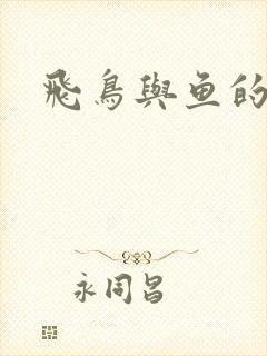 飞鸟与鱼的故事封面