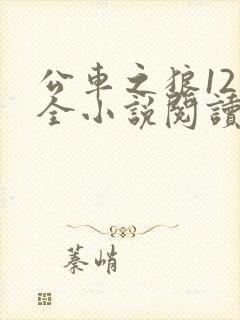 公车之狼12集全小说阅读封面