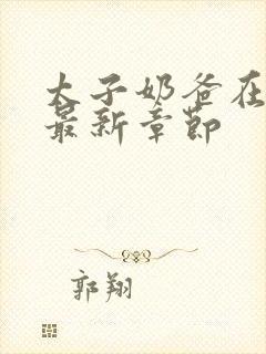 太子奶爸在花都最新章节封面