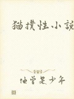 猫扑性小说封面