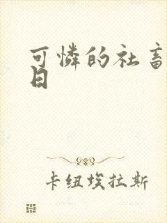 可怜的社畜东度日