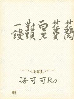 一对白花花的大馒头免费阅读