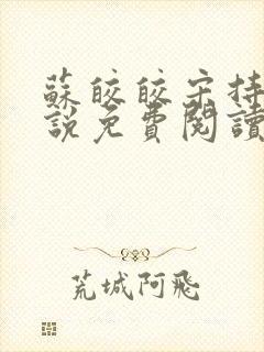 苏皎皎宋持的小说免费阅读