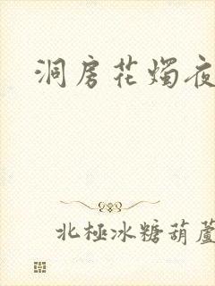 洞房花烛夜小说