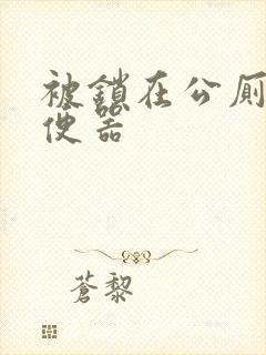 被锁在公厕当坐便器