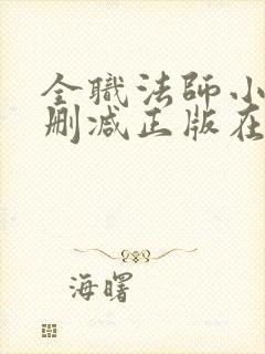 全职法师小说无删减正版在线阅读