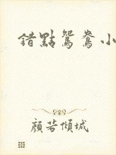 错点鸳鸯小说