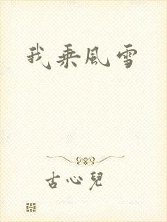 我乘风雪