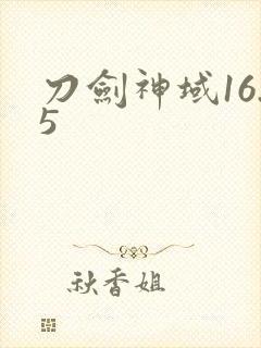 刀剑神域16.5