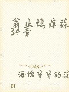 翁止熄痒苏钥第34章封面