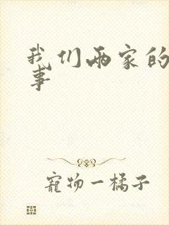 我们两家的荒唐事