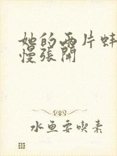 她的两片蚌肉慢慢张开封面