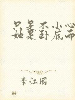 只是不小心发现她是卧底而已封面