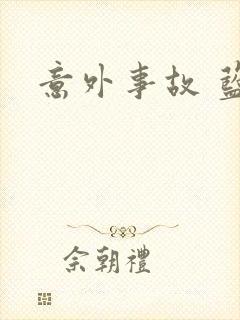 意外事故 蓝淋封面