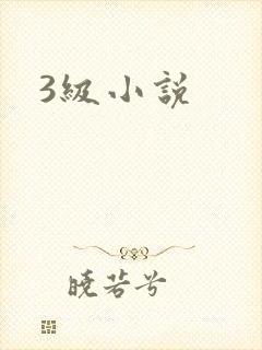 3级小说封面