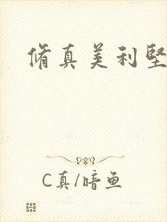 修真美利坚封面